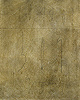 gvoon picture