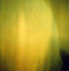 gvoon picture