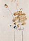 gvoon picture